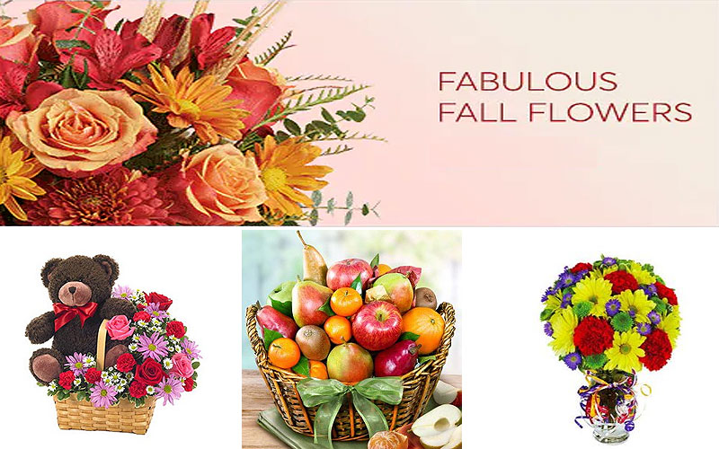 Shop Online Bouquets & Gifts on Sale Prices