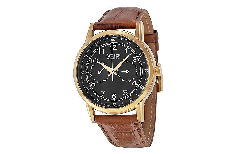 Citizen Eco-Drive AO9003-08E Men's Leather Watch