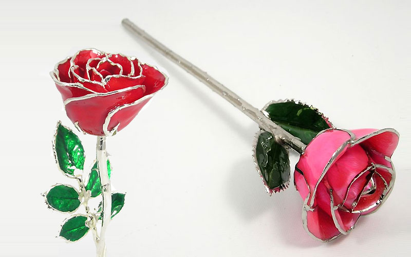 Up to 50% Off on Silver Trimmed Real Roses