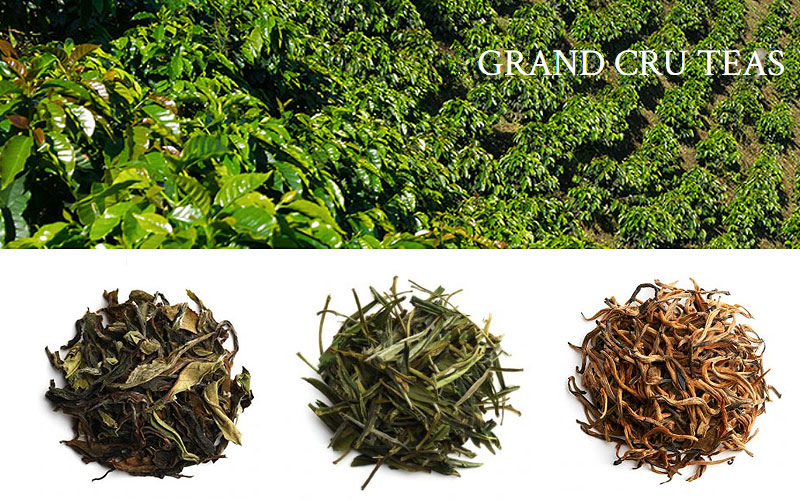 Palais Des Thes Grand Cru Teas for Sale