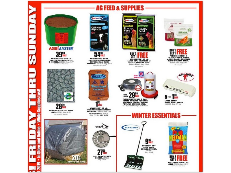 Blain's Farm & Fleet Black Friday Ad 2019