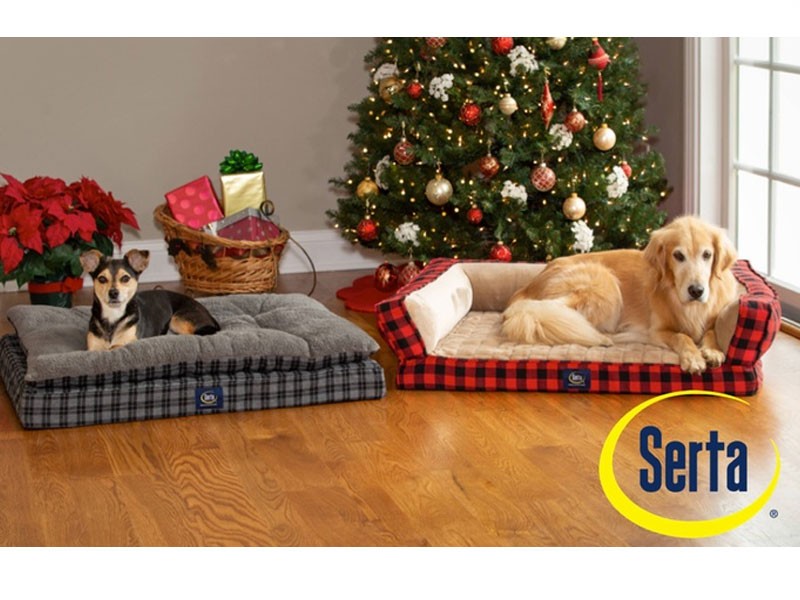 Serta Orthopedic Plaid Pet and Dog Bed