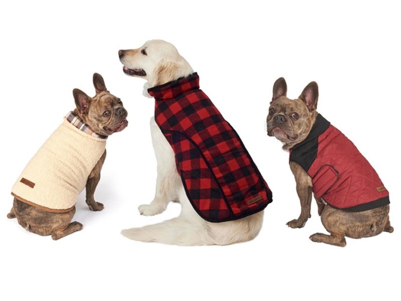 Eddie Bauer Jackets for Dogs