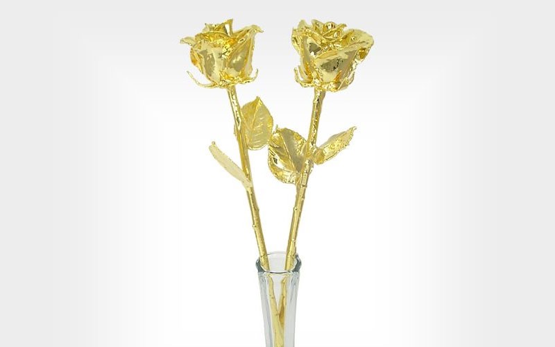 2 Real 18-Inch Anniversary Roses Dipped in Gold with Vase