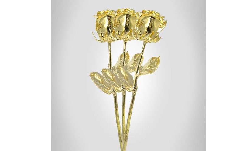 3 Past, Present, Future 11-Inch Gold Dipped Roses