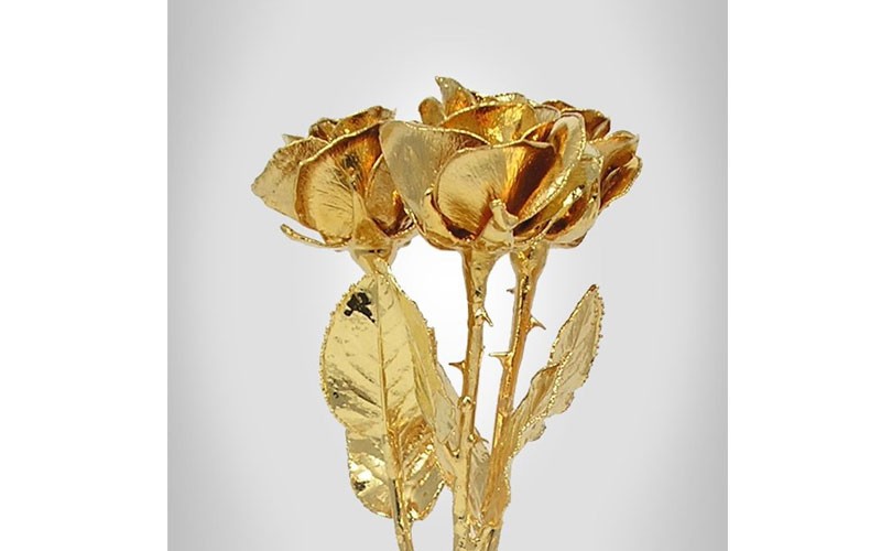 3 Past, Present, Future 8-Inch 24k Gold Plated Roses