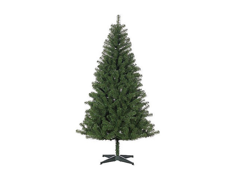 Canadian Hemlock Christmas Tree with Stand