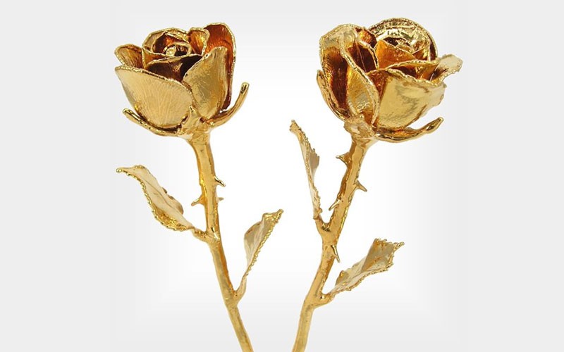 His and Her 8-Inch 24k Gold Dipped Roses