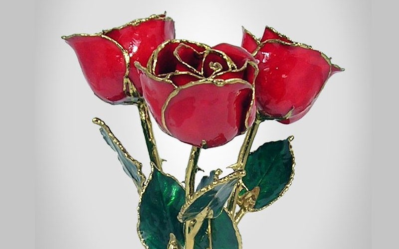 3 Past, Present, Future 11-Inch 24k Gold Trimmed Roses