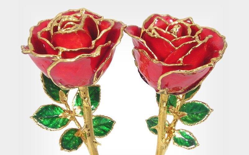 His and Her 8-Inch 24k Gold Trim Roses