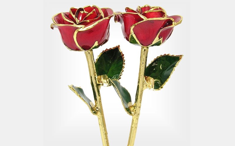 24k Gold Trimmed His and Her Roses: 11-Inch