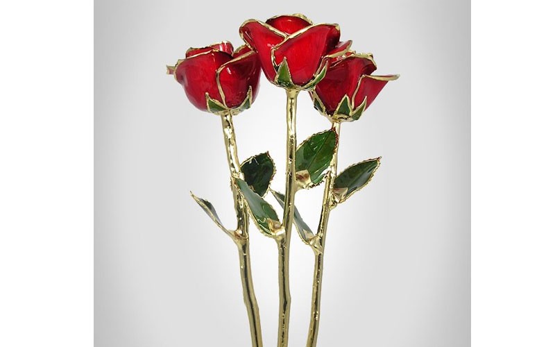 3 Past, Present, Future 18-Inch 24k Gold Trimmed Roses