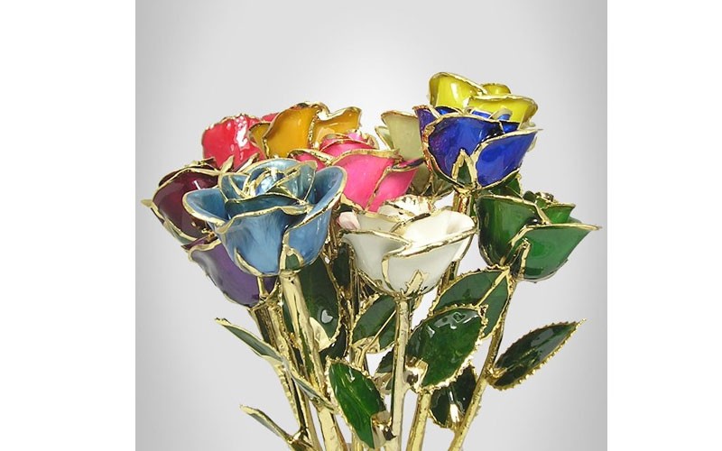 24k Gold Trimmed Roses: 11-Inch Multi-color 12 Rose Bouquet