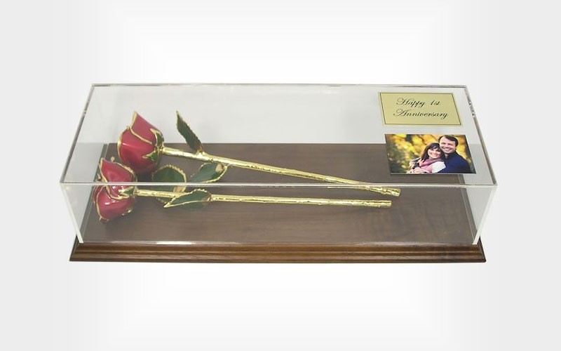 1st Anniversary Gift: 2 Gold Trim Roses & Museum Case