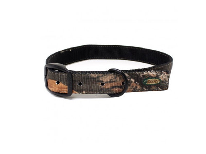 Avery Coated Dog Collar Belt