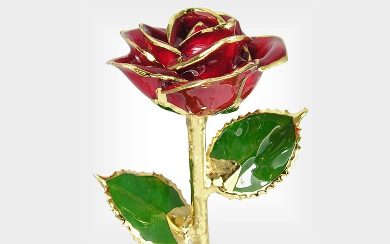 24k Gold Trimmed Rose: 11-Inch Red Rose