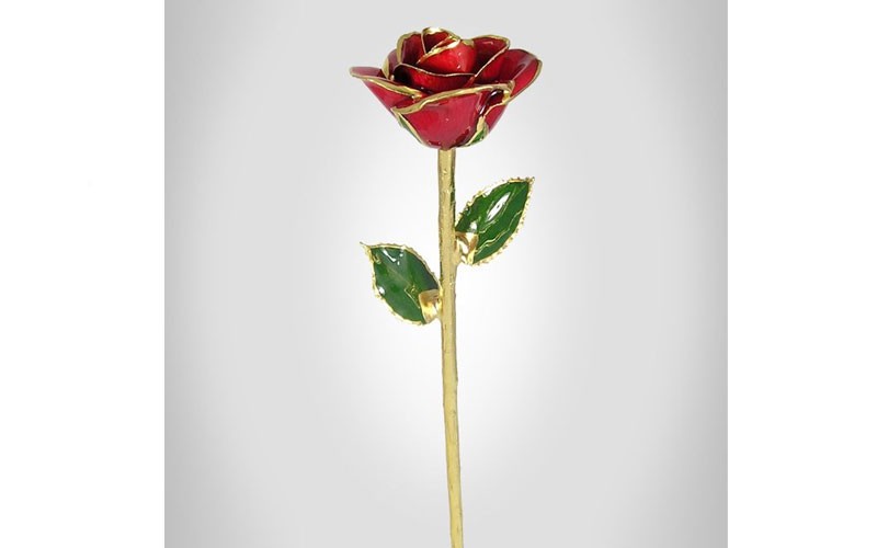 Long Stem 24k Gold Rose: 18-Inch Red Rose