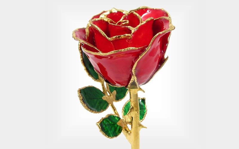 24k Gold Trimmed Rose: 8-Inch Red Rose