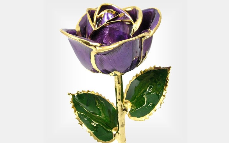 24k Gold Trimmed Rose: 11-Inch Purple Rose