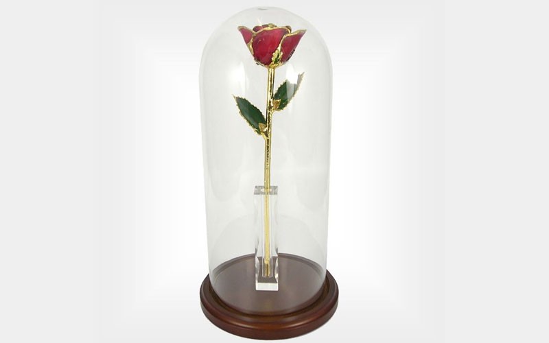 Enchanted 11-Inch Gold Trimmed Rose