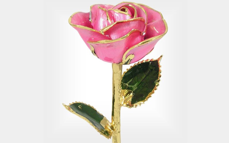 24k Gold Trimmed Rose: 11-Inch Pink Rose