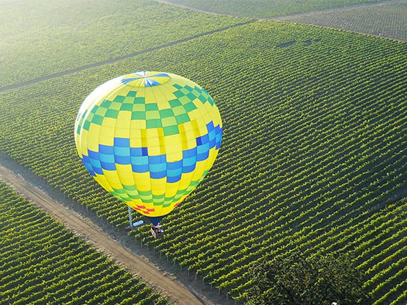 Hot Air Balloon Flight Sonoma, 1 Hour Ride