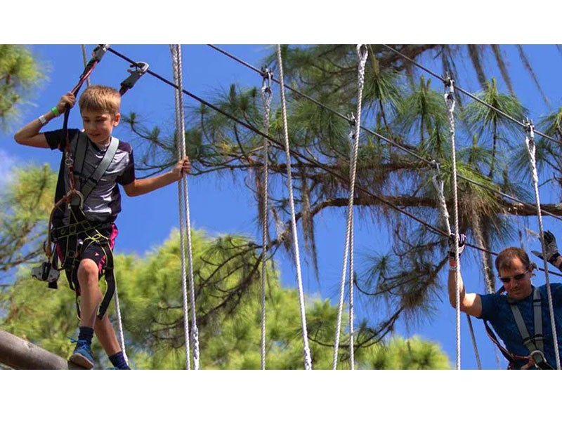 Zipline & Treetop Adventure Course Tampa FL4 Hours Tour Package