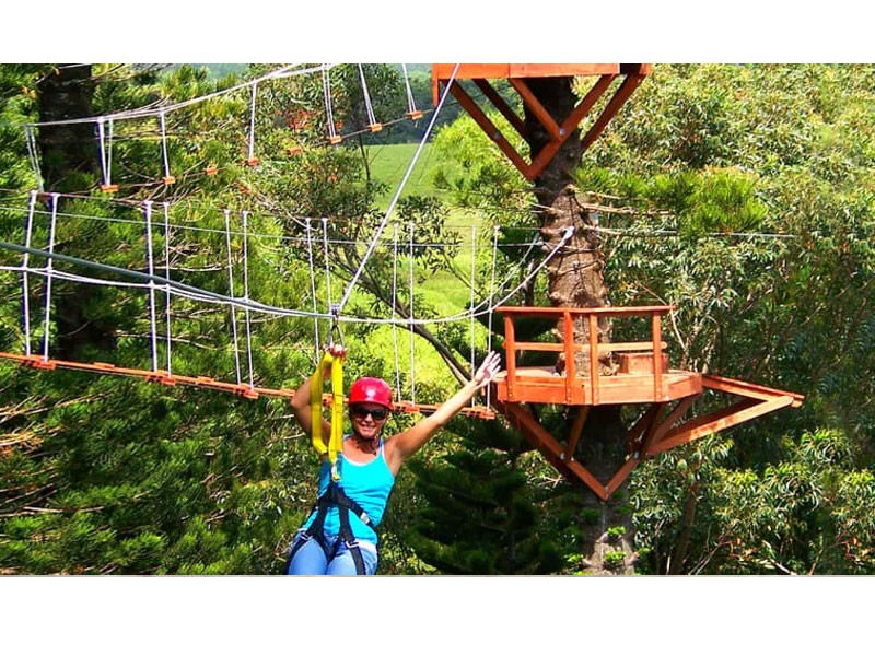 Zipline Treetop Tour Kauai 3 Hours 30 Minutes Tour Package