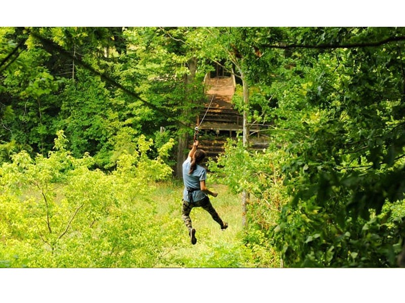 Zipline Treetop Adventure Plano 2 Hours 30 Minutes Tour Package