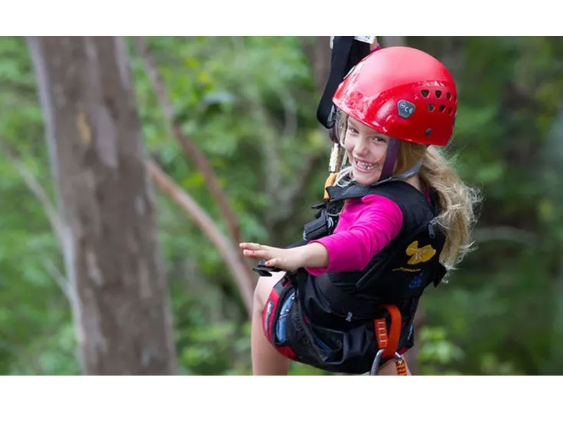 Treetop Zipline Tour Maui 7 Line Tour 2.5 Hours Tour Package