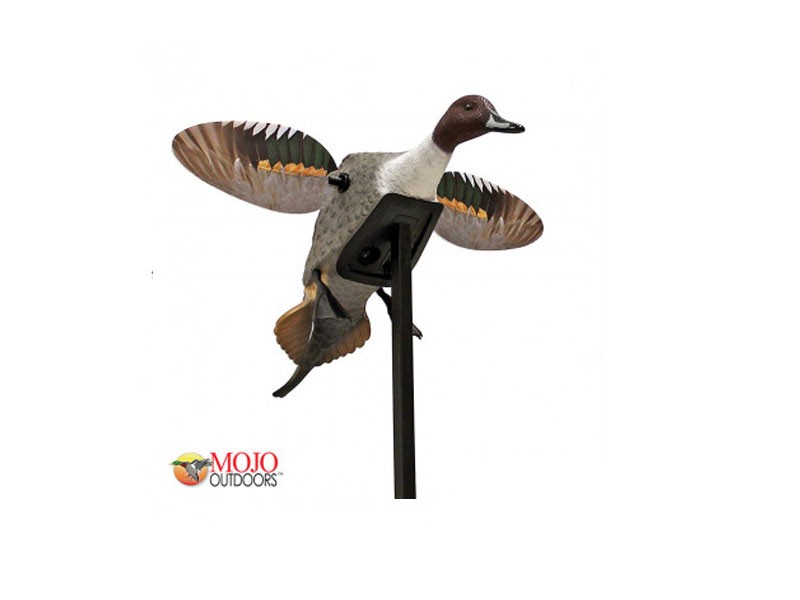 MOJO Elite Series Pintail Motorized Decoy