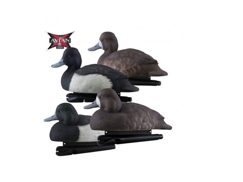 Avian-X Topflight Bluebill Decoys