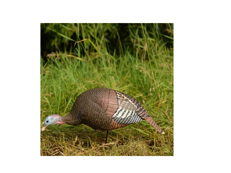 Avery GHG Feeding Hen Decoy- Eastern