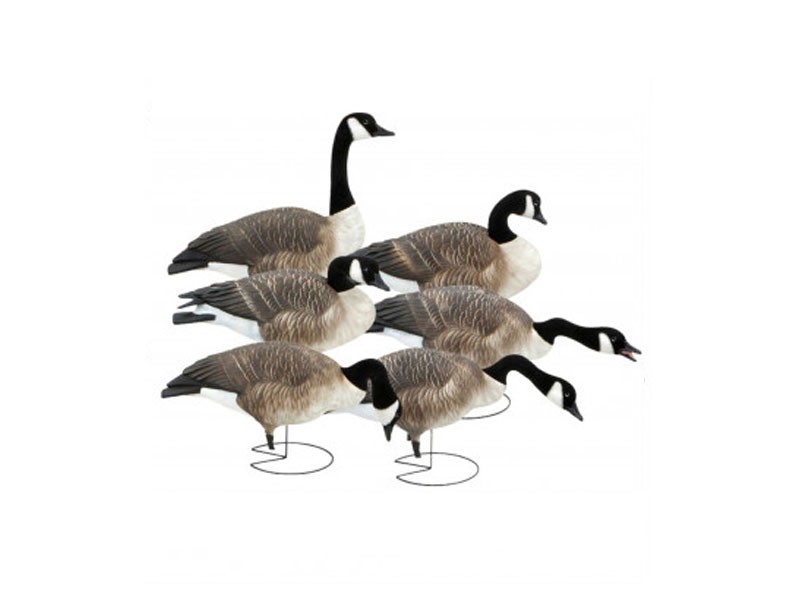 Avery GHG Commercial Grade Full Body Harvester Honker Decoys