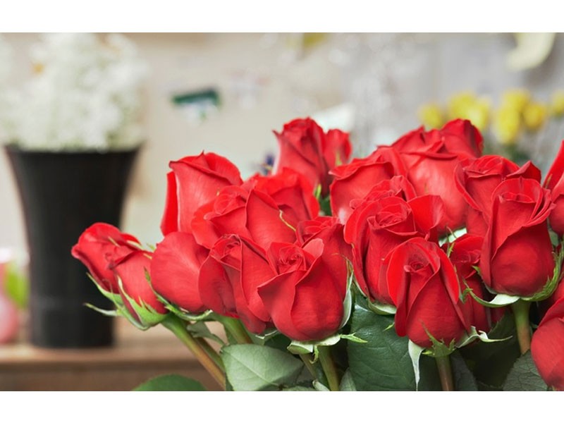 Ivy's Florist Roses