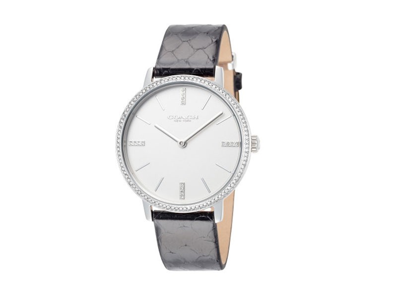 Coach Audrey Women's Watch 14503349