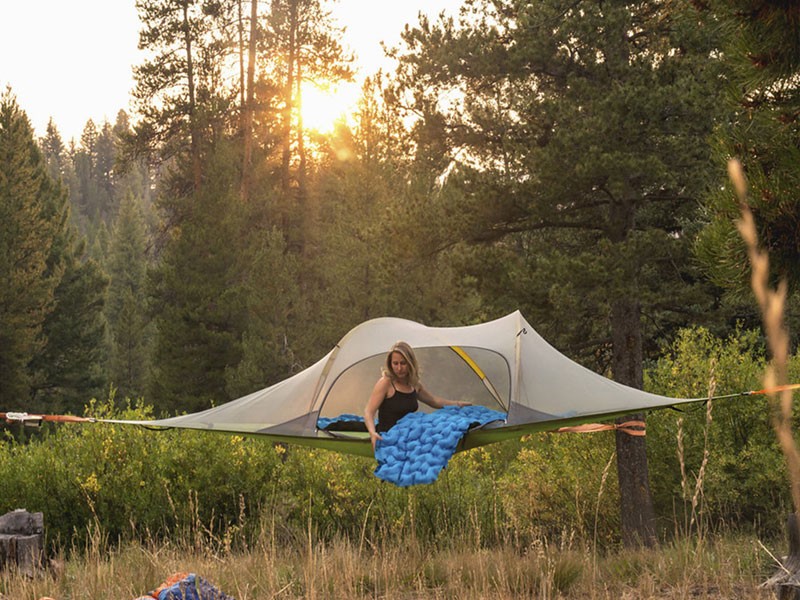 Stingray Tree Tent