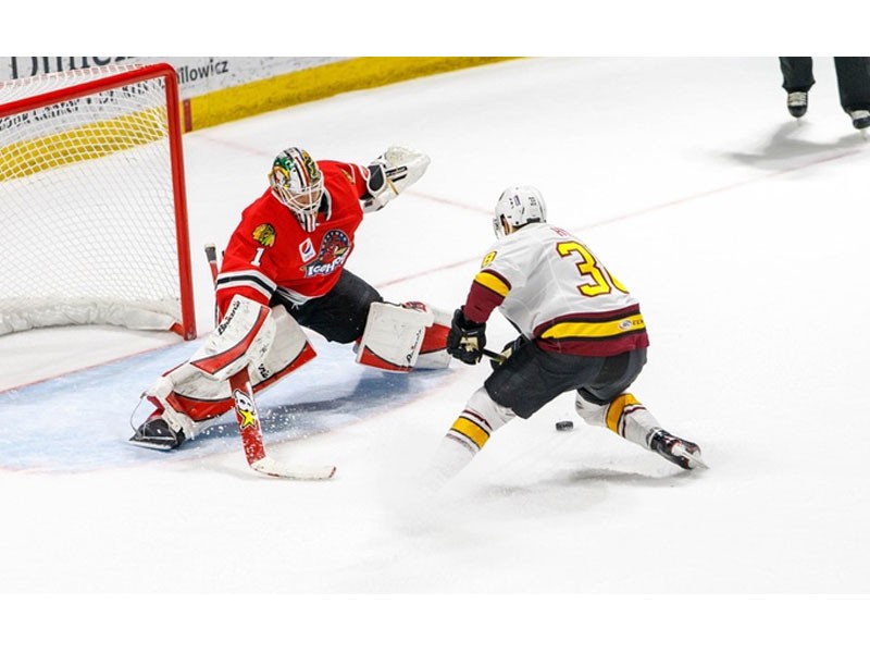 Rockford IceHogs Game Chicago Wolves Tour