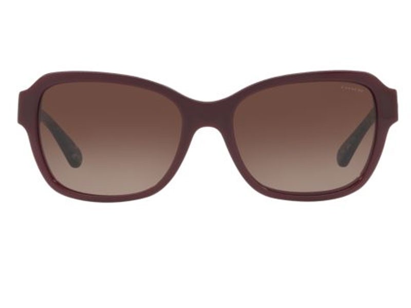 Coach Sunglasses For Women 0HC8232