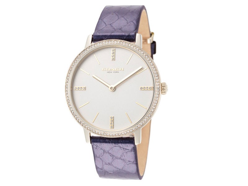 Coach Audrey Women's Watch 14503351