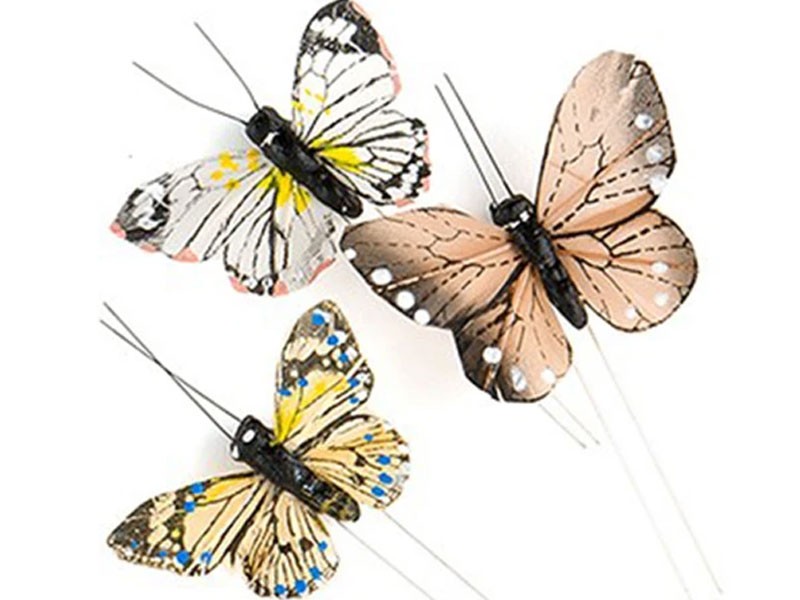 Beautiful Butterfly Decorative Set