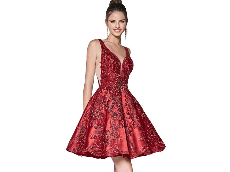 Feminine Style In This Cinderella Divine Dress For Women