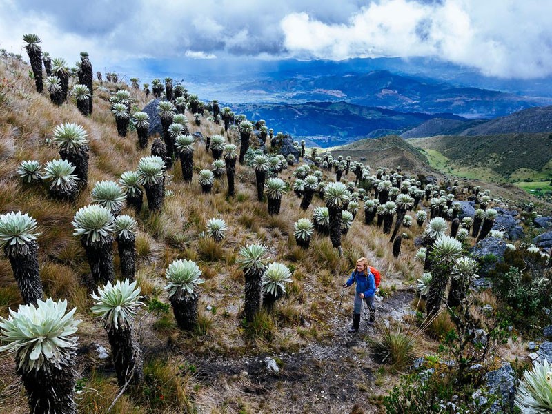 11 days Bogota to Cartagena Tour