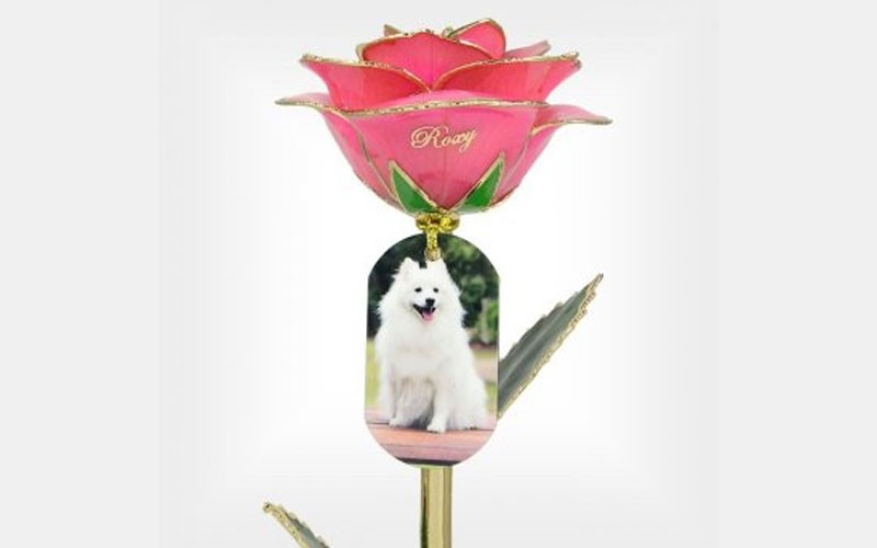 Personalized Companion Photo Rose, Stand & Gift Box