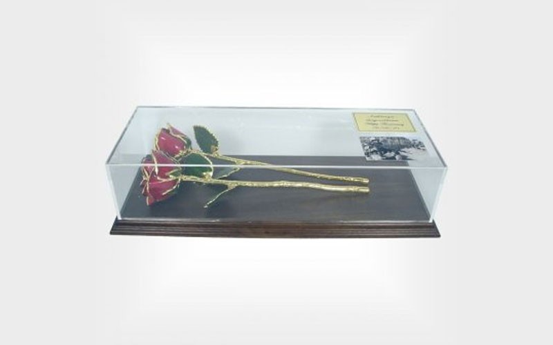 2 Preserved Roses in Museum Case with Custom Photo