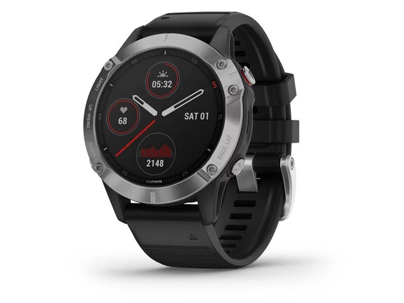 Fenix 6 Silver with Black Band Smart Watch