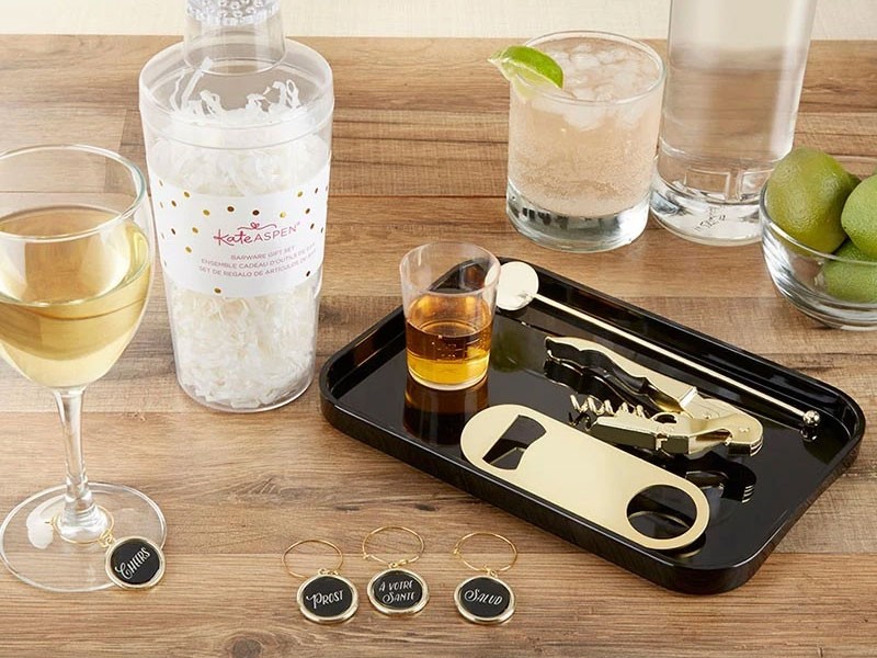 Barware Gift Set in Clear Acrylic Cocktail Shaker