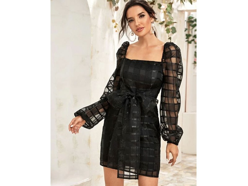 Women's Lantern Sleeve Belted Geo Mesh Dress