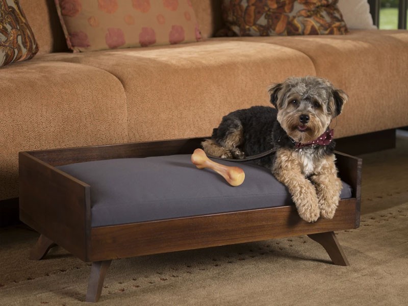 Darren Mid-Century Wood Frame Cushioned Dog Bed