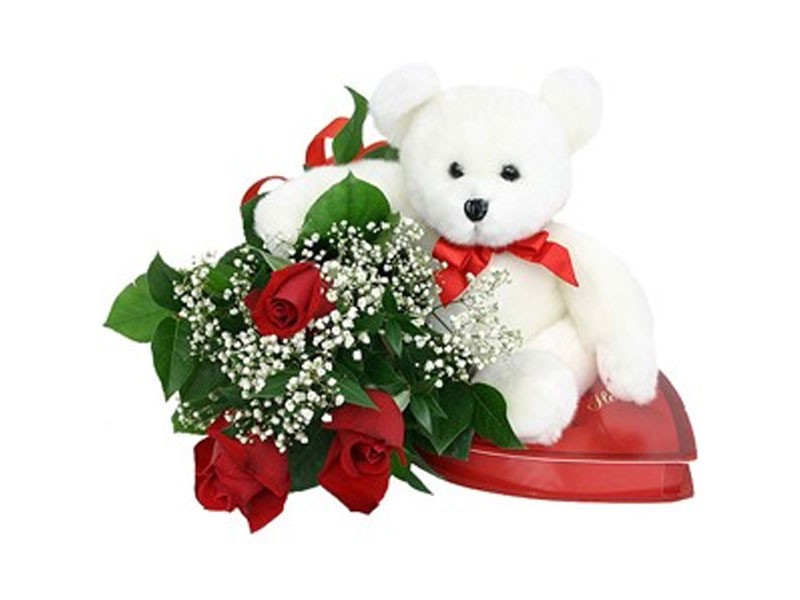 Be My Valentine A Soft Teddy Bear